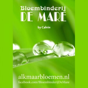 Bloembinderij De Mare logo
