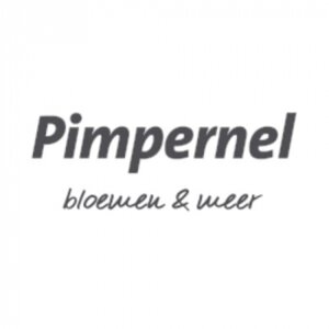 Pimpernel Bloembinderij logo