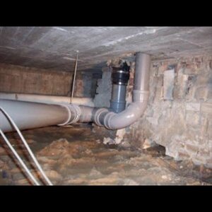 Davi Bouw image 1