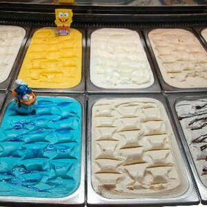 IJssalon Vivaldi Hoorn B.V. image 2