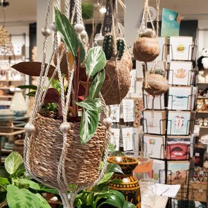 WAAR Alkmaar image 1