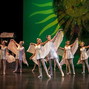 De Hoornse Balletschool image 3