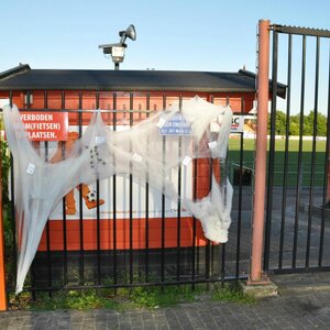 Ongediertebestrijding Volendam Wespvrij image 4