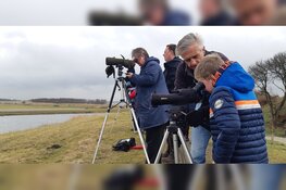 Zondag 1 en 8 maart 2020 Vogelkijkdagen bij Fort K'IJK