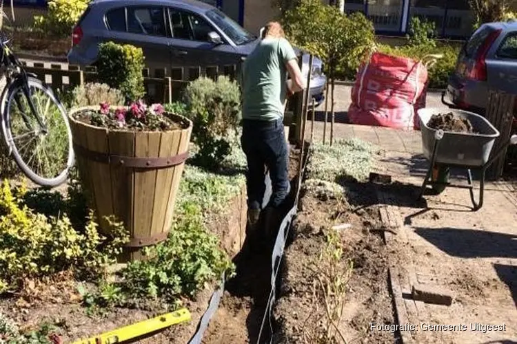 Eerste regenwatertuin in De Koog