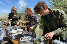 Studenten Clusius College creëren kruidentuin bij Fort K'IJK