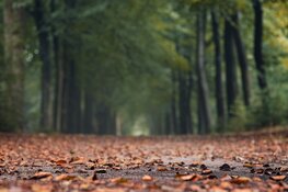 Wisselvallige week begint droog en zonnig, maar later grotere buienkans