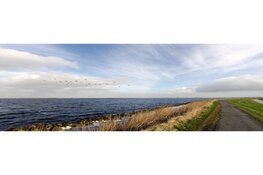 Ontdek fietsend de Krommenieër Woudpolder: Het mooiste weidevogelgebied van Nederland