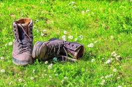 Wandelen op het Noord-Hollandpad