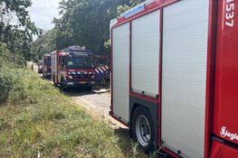 Brandweer met man en macht paraat bij flinke natuurbrand in Heemskerk