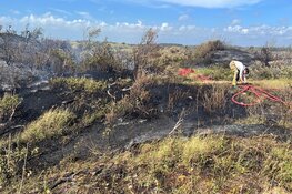 Brandweer met man en macht paraat bij flinke natuurbrand in Heemskerk