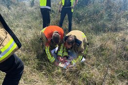 Brandweer met man en macht paraat bij flinke natuurbrand in Heemskerk