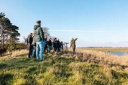 Weidevogels spotten bij Fort Krommeniedijk