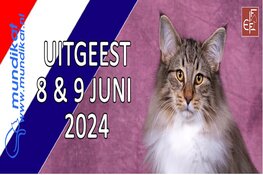 Mundikat komt naar Uitgeest