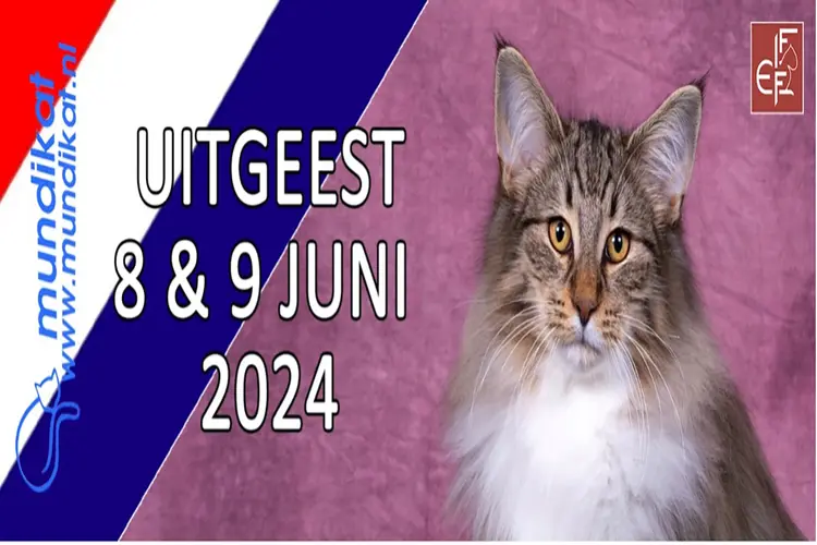 Mundikat komt naar Uitgeest