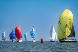 De Flevoland regatta 2024. Hou je van ZEILEN......  DOE DAN MEE!