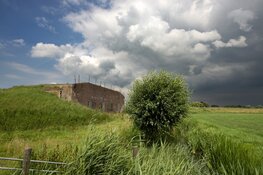 Historische liniedijken Stelling van Amsterdam krijgen nieuwe glans