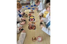 Beleef de meivakantie bij Museum BroekerVeiling