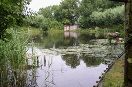 Kijk achter de schermen van eendenkooi Van der Eng