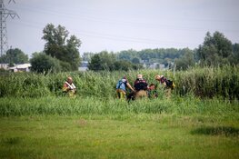 Hond duikt het water in en verdwijnt, brandweer start zoekactie