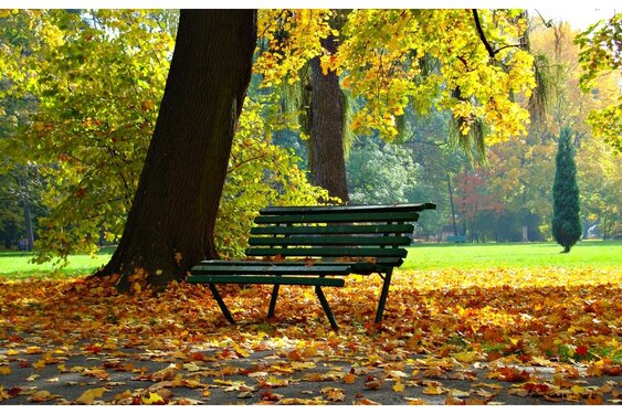 Koudere nachten, overdag rustig herfstweer