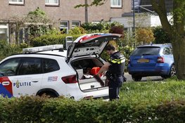 Kopstaart botsing op de Populierenlaan in Uitgeest