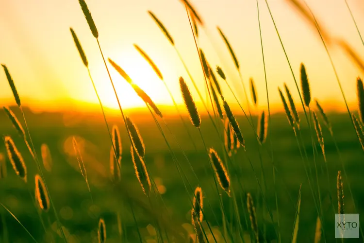 Zomerse warmte en droogte houden voorlopig aan